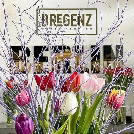 住宿加早餐酒店 Bregenz